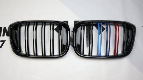 Решітка радіатора ніздрі BMW X3 G01 X4 G02 (2018-2022) M-color 8017 фото