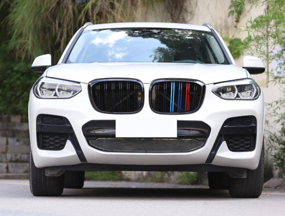 Решітка радіатора ніздрі BMW X3 G01 X4 G02 (2018-2022) M-color 8017 фото