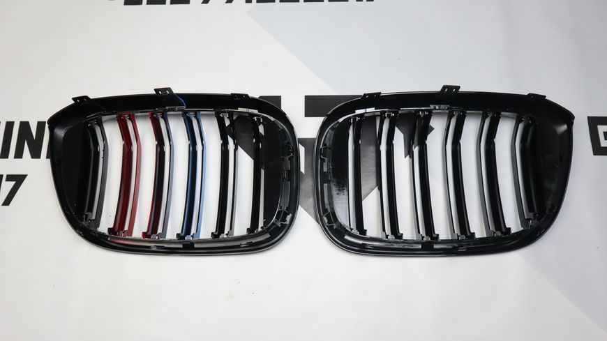 Решітка радіатора ніздрі BMW X3 G01 X4 G02 (2018-2022) M-color 8017 фото