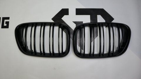 Решітка радіатора ніздрі BMW X5 E53 (1999-2003) чорний глянець BMW-E53001 фото