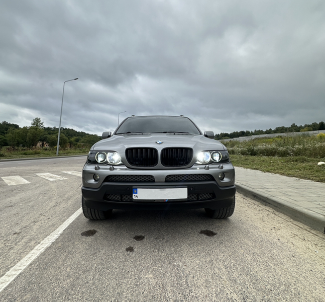 Решітка радіатора ніздрі BMW X5 E53 (2003-2006) чорний глянець BMW-E53002 фото