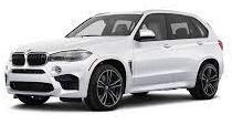 X5M F85 (2014-2018)