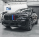 Решетка радиатора ноздри BMW X5 G05 (2018-2022) M-color BMW-G05191 фото 5