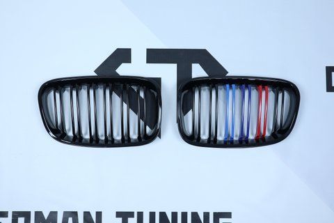 Решетка радиатора ноздри BMW F20 F21 (2011-2015) M-color BMW-F20135 фото