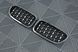 Решетка радиатора ноздри BMW F10 F11 (2010-2017) Diamond Silver BMW-F10156 фото 2