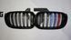 Решетка радиатора ноздри BMW X3 F25 X4 F26 (2014-2018) M-color BMW-F25143 фото 1