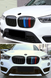 Решітка радіатора ніздрі BMW X1 F48 (2015-2019) M-color 8019 фото 2