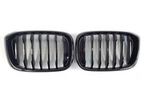 Решітка радіатора ніздрі BMW X3 G01 X4 G02 (2018-2022) чорний глянець BMW-G01184 фото