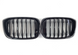 Решетка радиатора ноздри BMW X3 G01 X4 G02 (2018-2022) черный глянец BMW-G01184 фото 1